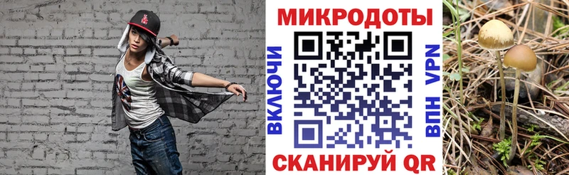 Псилоцибиновые грибы Psilocybe  где продают наркотики  Юрьевец 